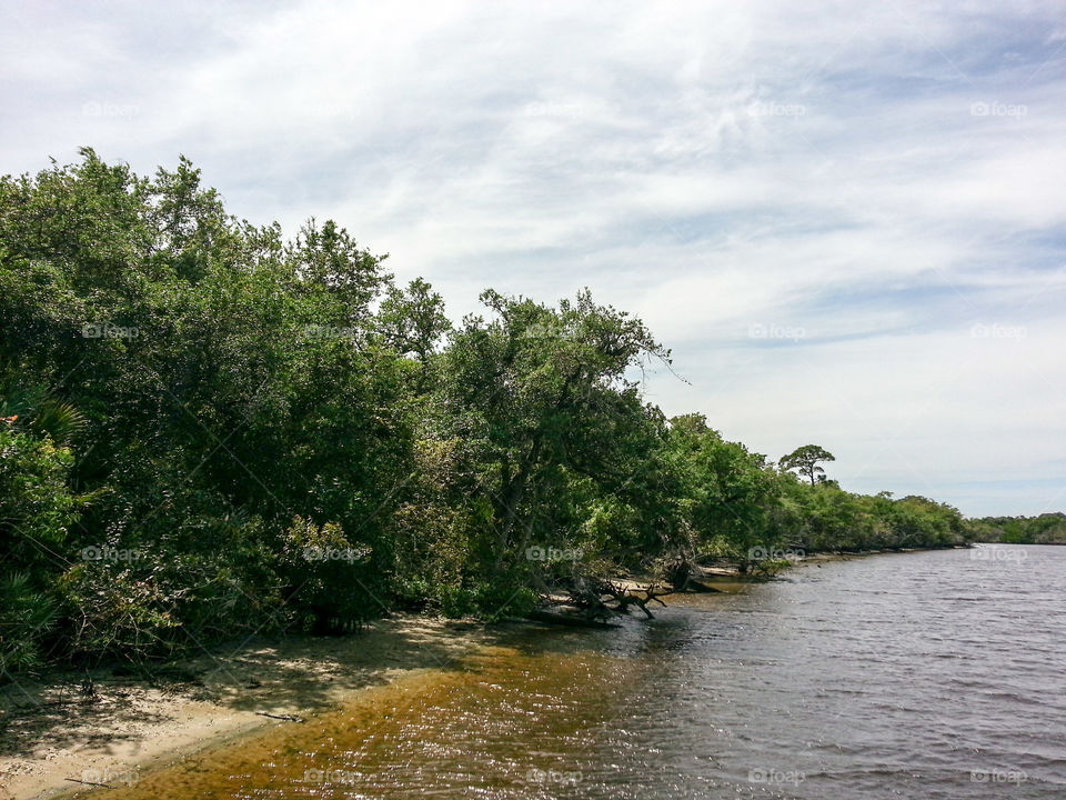 River's Edge. sunlight dancing on the water, breeze tickling the leaves