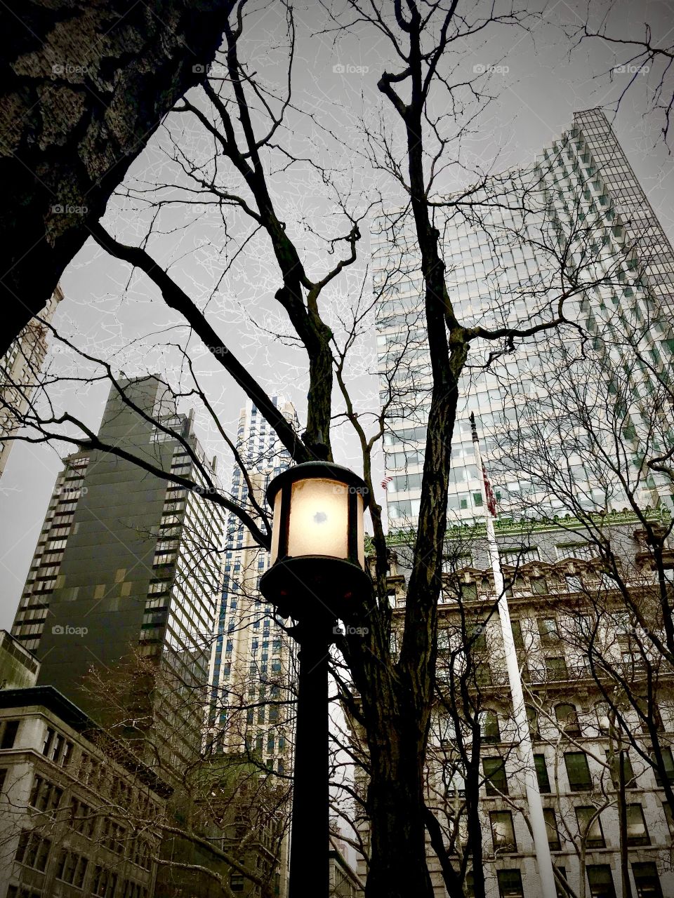 Lit lantern in Front of New York Public library in New York City 