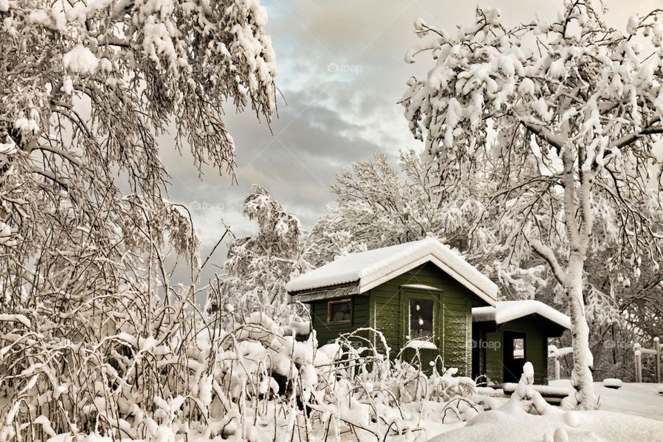 Small house in winterland