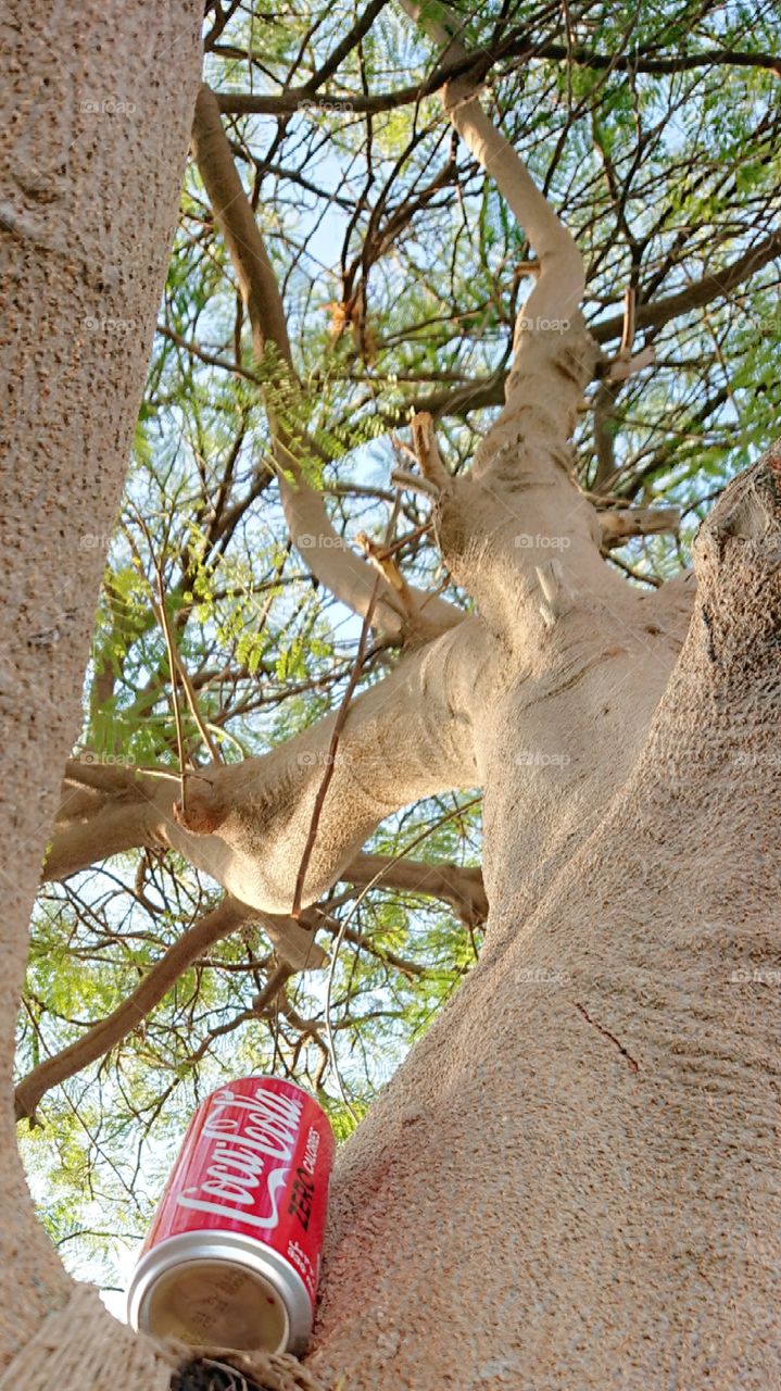 Welcome to Foap Plus!