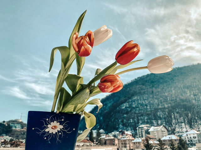 Tulips bouquet 