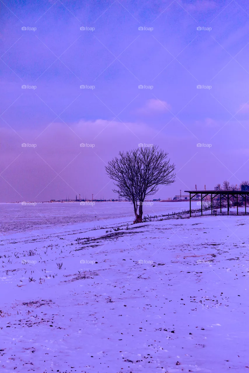 Winter