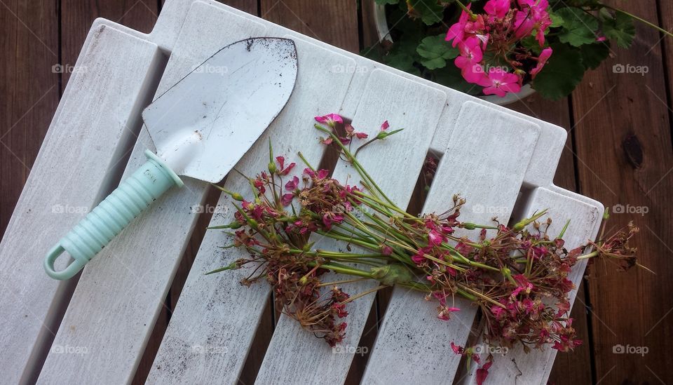 Close-up of gardening equipment