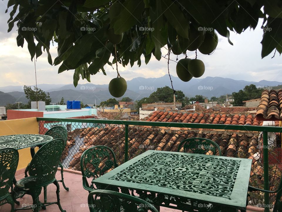 Mangos hanging over a town and horizon, dusk mountains in the back.