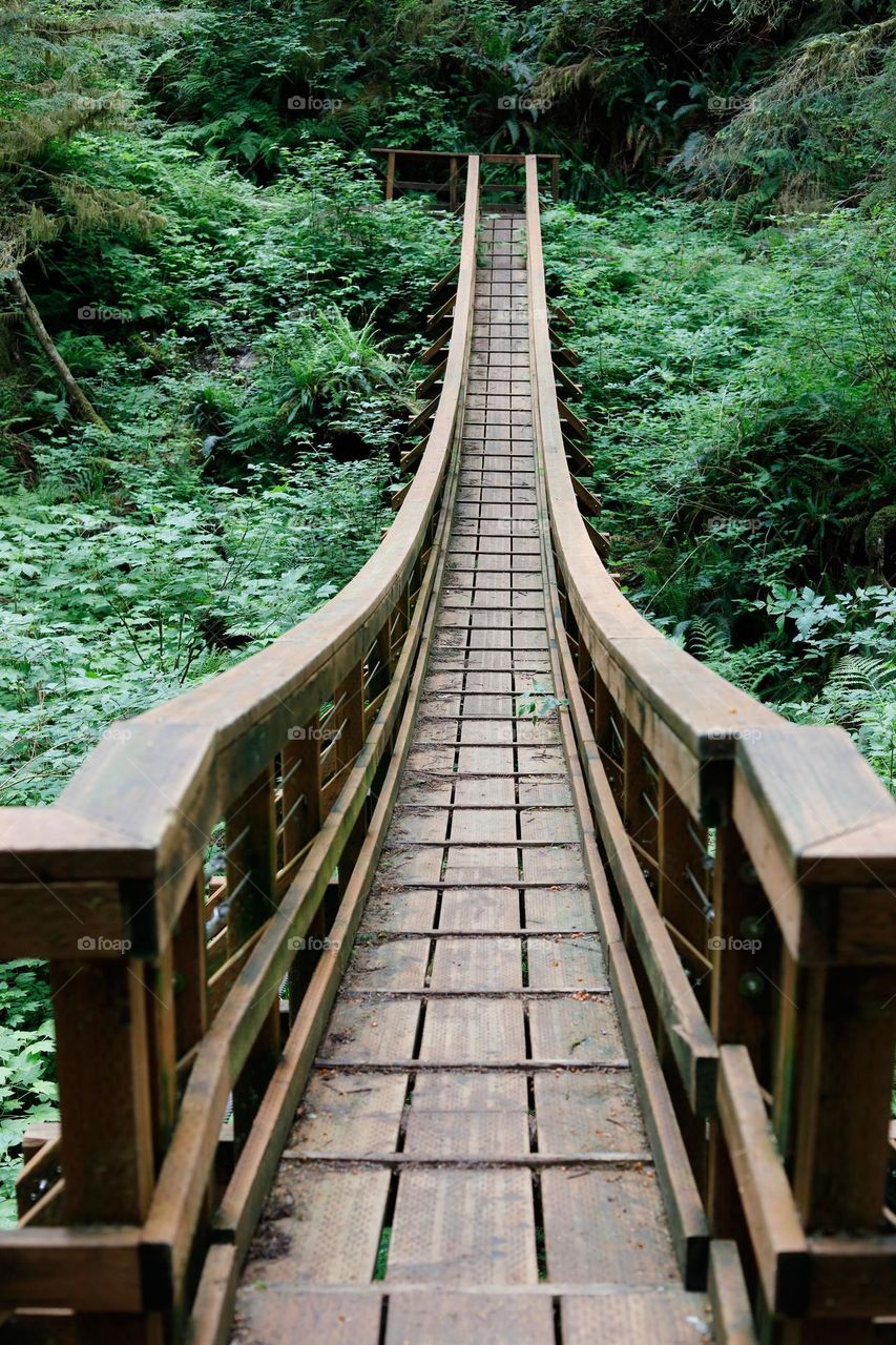 wooden bridge