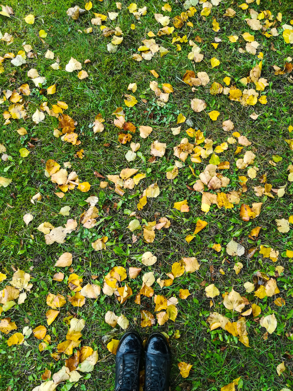 colorful autumn background,  black women boots