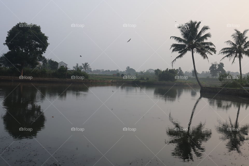 irrigation lake in the morning