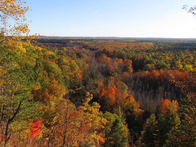 Fall landscape 