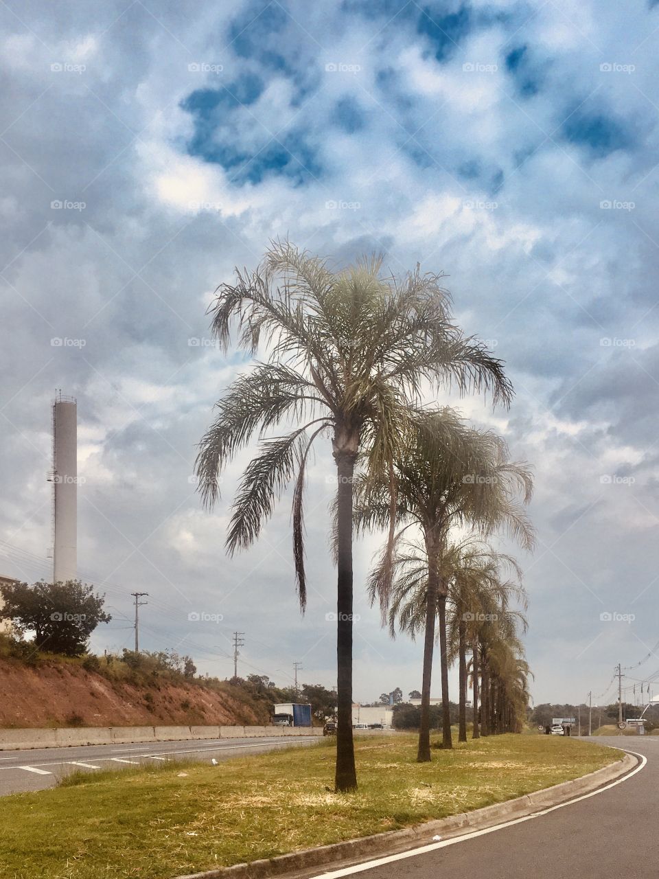 The palm trees are giving the air of its beauty in the middle of the traffic on the road!  And what a cloudy day ... / As palmeiras estão dando o ar da sua beleza em meio ao trânsito na estrada! E que dia nublado...