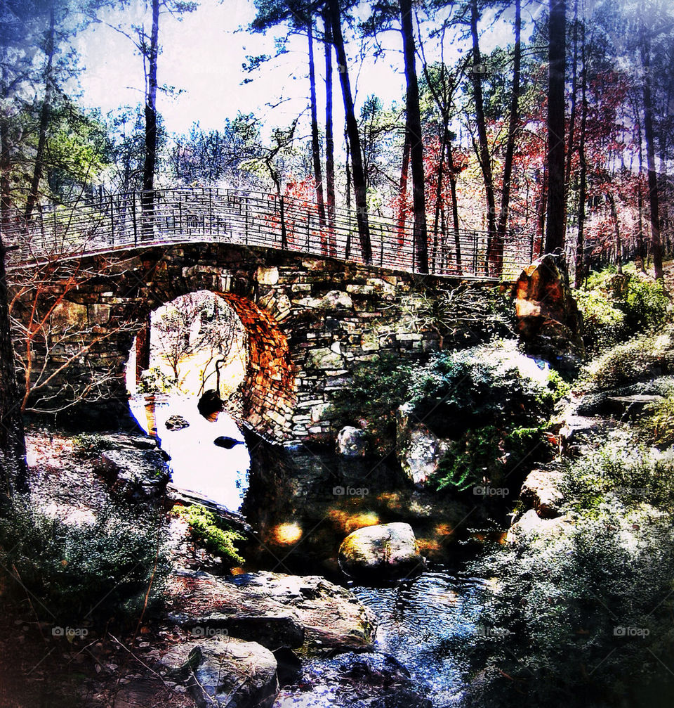 FOREST BRIDGE