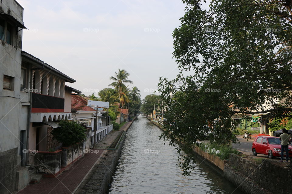 hamilton canal negombo