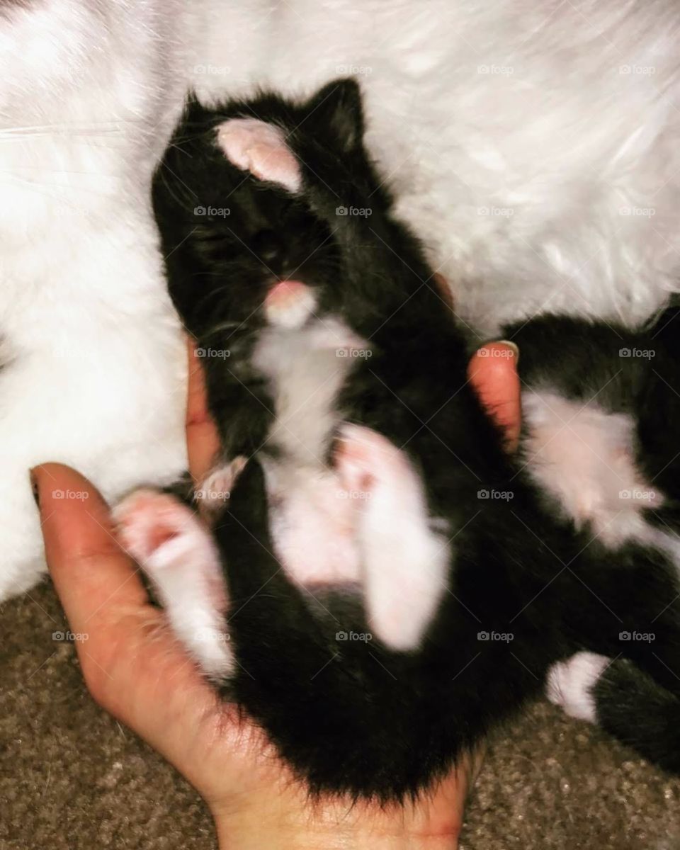 Could he get any cuter??