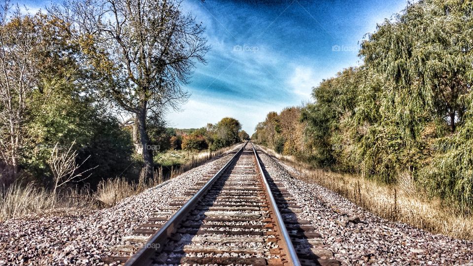 Railroad . Tree Lined Tracks