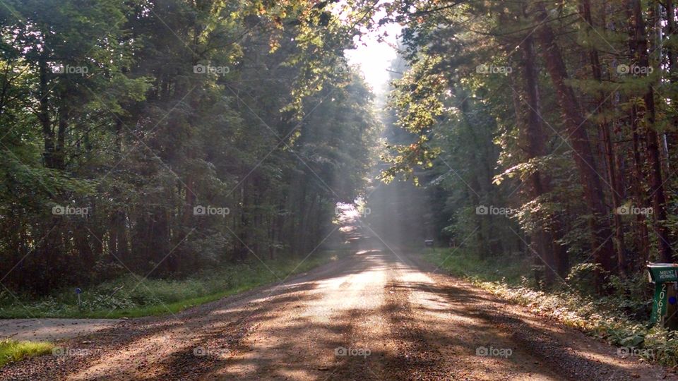 path of light. journey