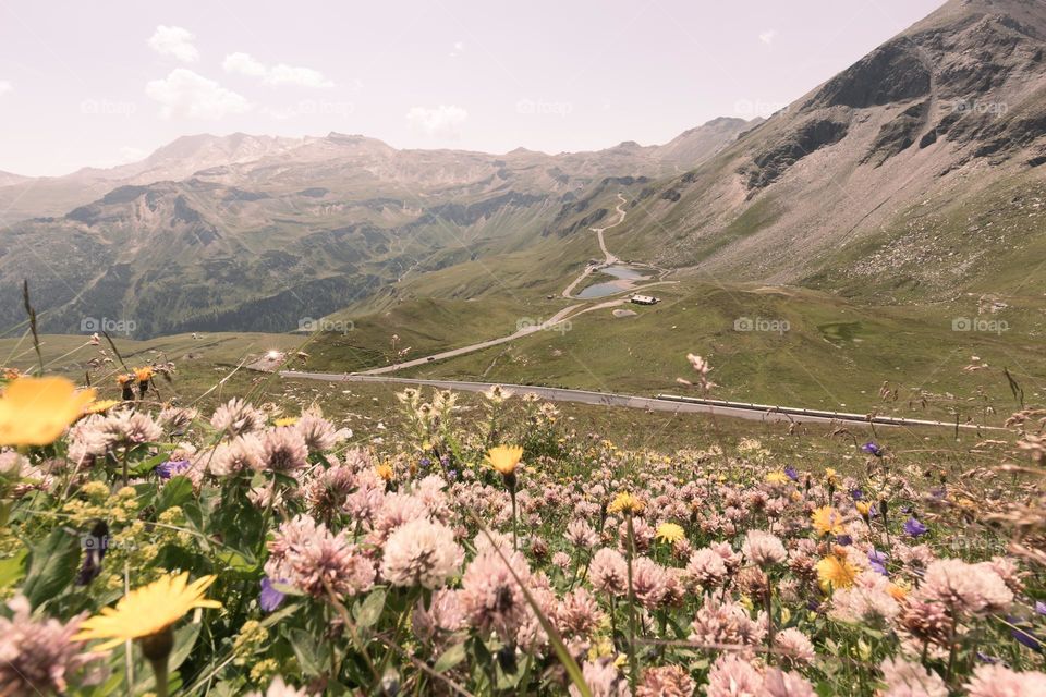 Beautiful landscape in the mountains with a flower field in the foreground in vintage mood 
