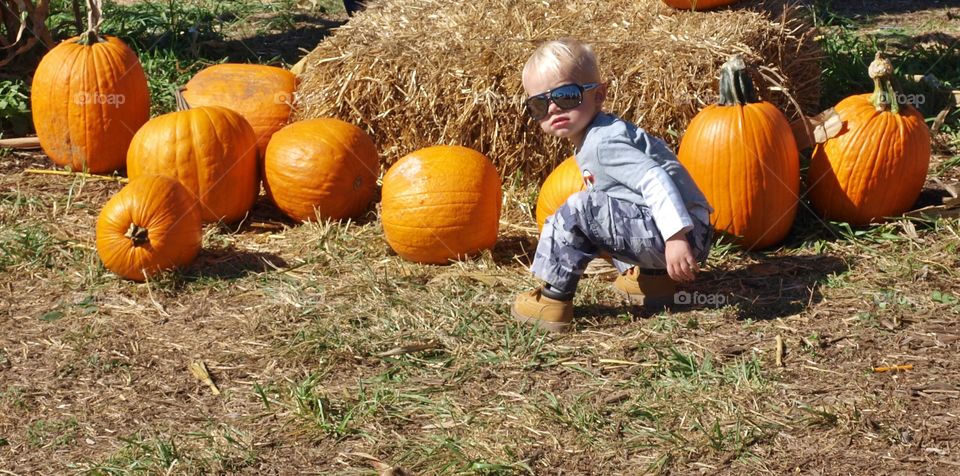 Pumpkin Patch