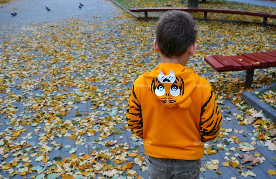 People, Child, Outdoors, Fall, One