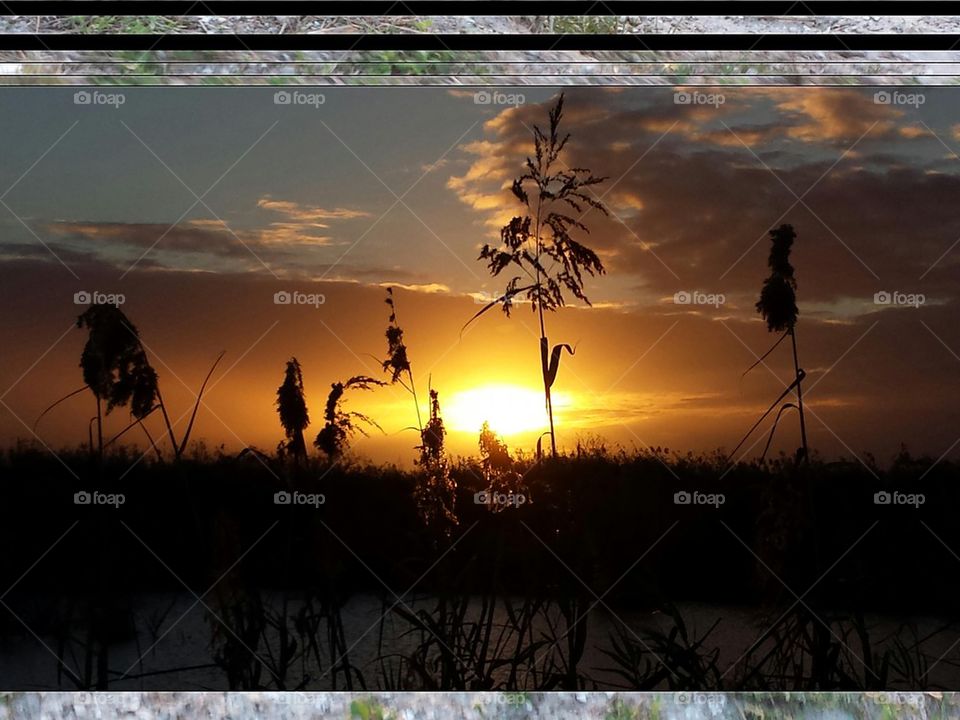 Florida Everglades