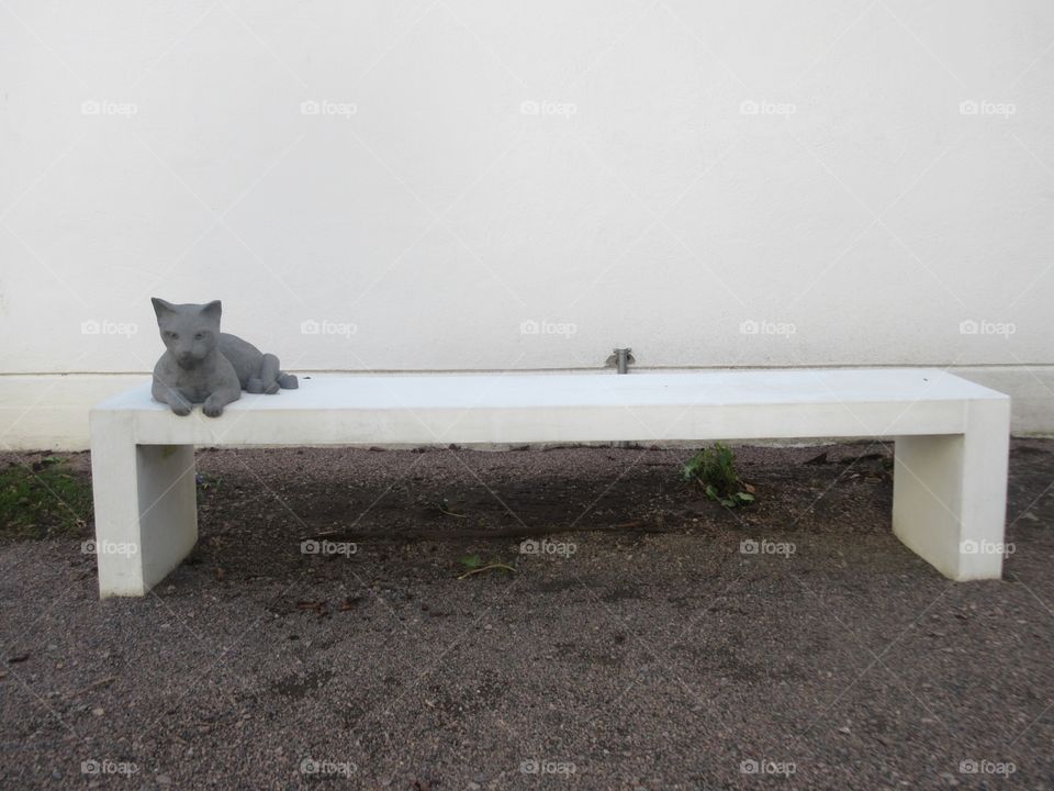 Statue cat on a white bench with dark dirt juxtaposing white bench 