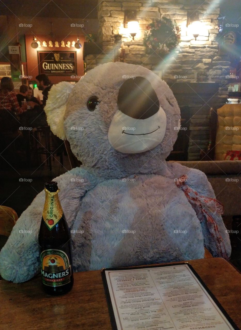 giant stuffed koala with a drink in Irish pub