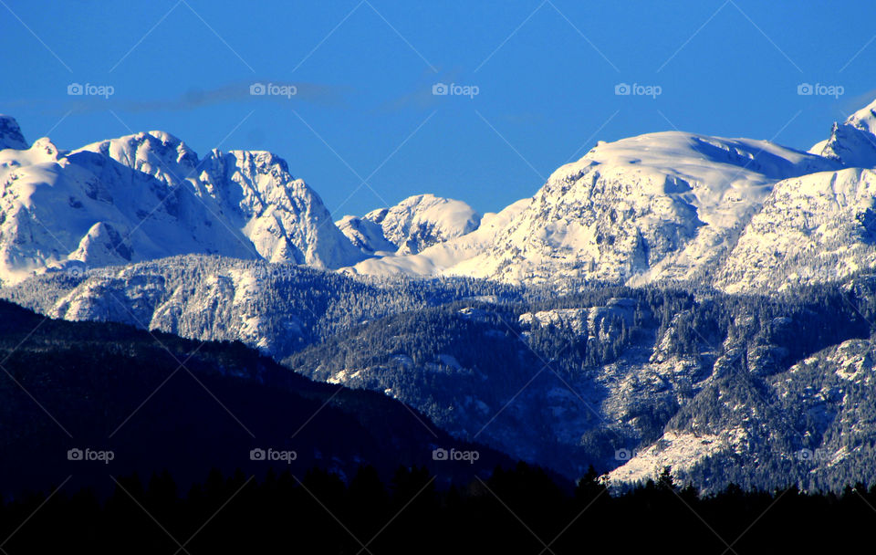 MOUNTAINS: It was a beautiful sunny winter day which is rare on the Pacific North-wet Coast. It was cold & virtually cloudless. The trees & foothills silhouetted in the foreground focus all attention on the glorious & majestic snow covered mountains!