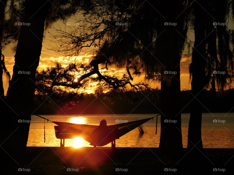 Sun Rays shining bright