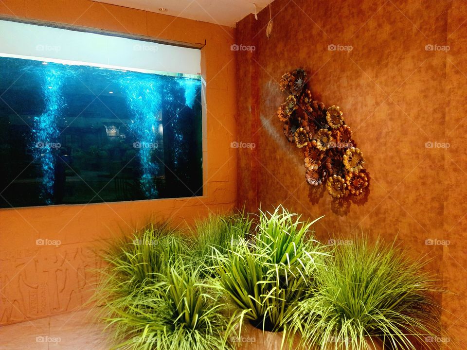 «ROYAL RAMESSES HOTEL»≈(Seeduwa* SRILANKA)