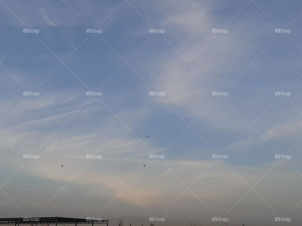 i am poor and need dollars