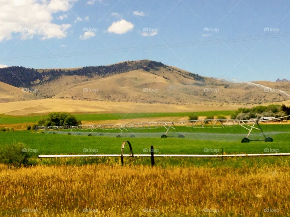 Scenic farmland 