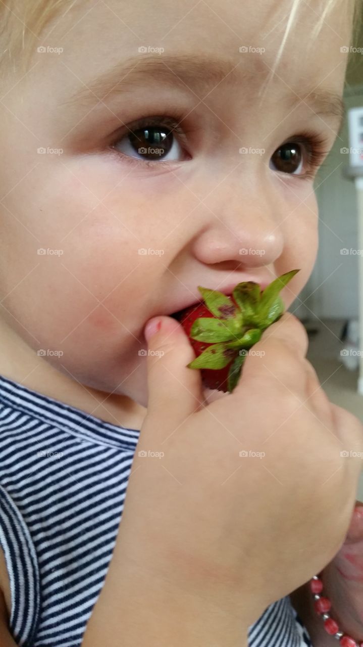 Close-up of a cute boy eating strawberry