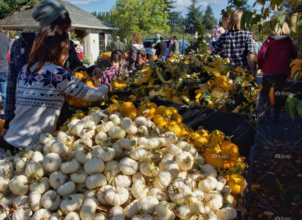 Fall market