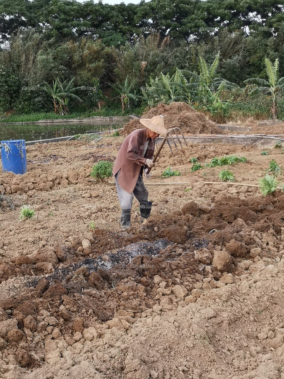 My grandfather is working hard on his farm
