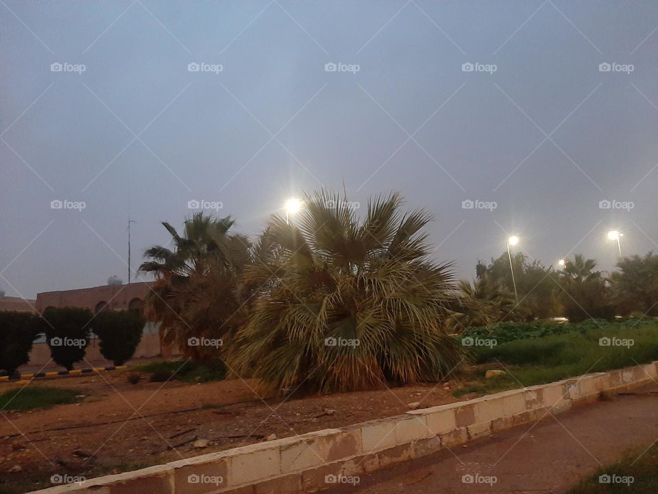 Please help me, I am very poor, I need your support and God is in need