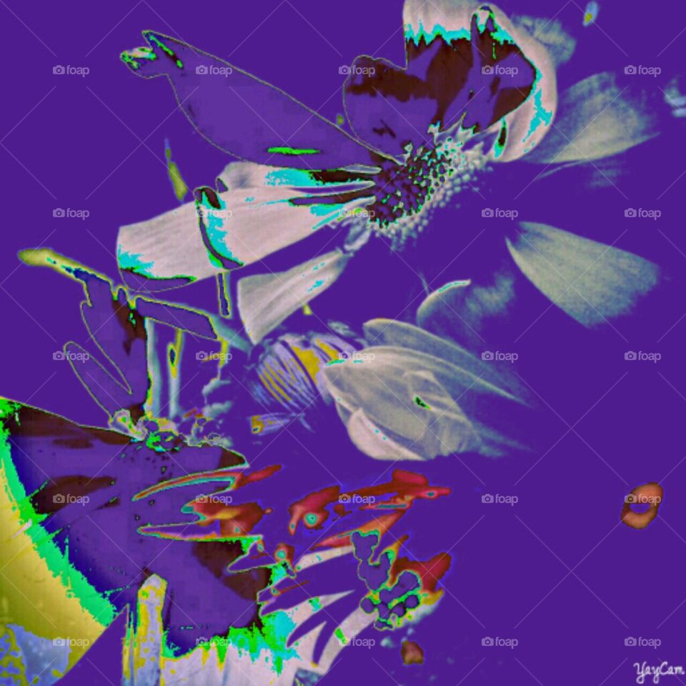 surprise. psychedelic effect