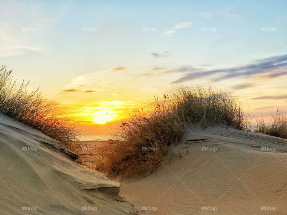 At the sanddunes of beautiful northern Denmark. The light always feels magic herr.
