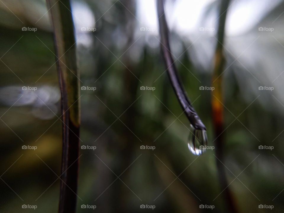 A water drop on a stick