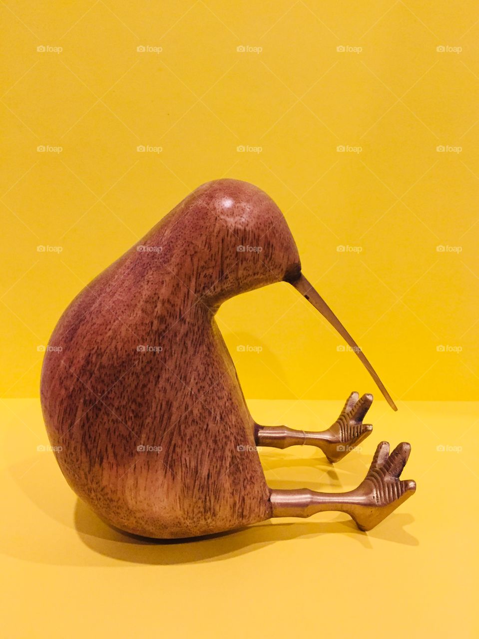 Flightless Kiwi Bird, a New Zealand Native! 