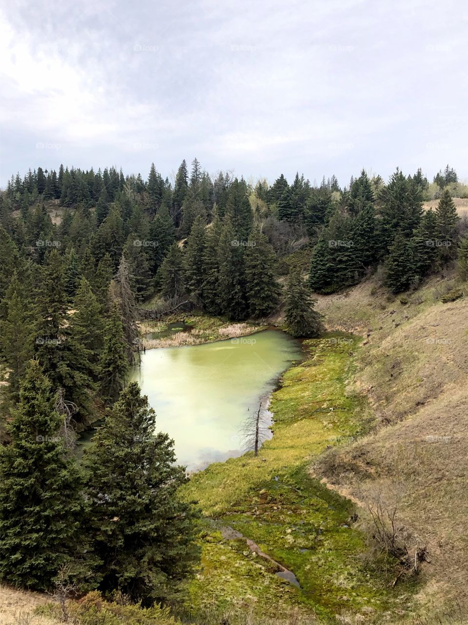 Devil’s Punch Bowl