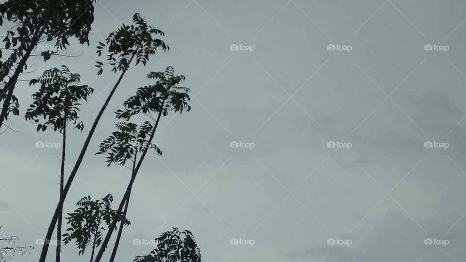 The beauty of nature