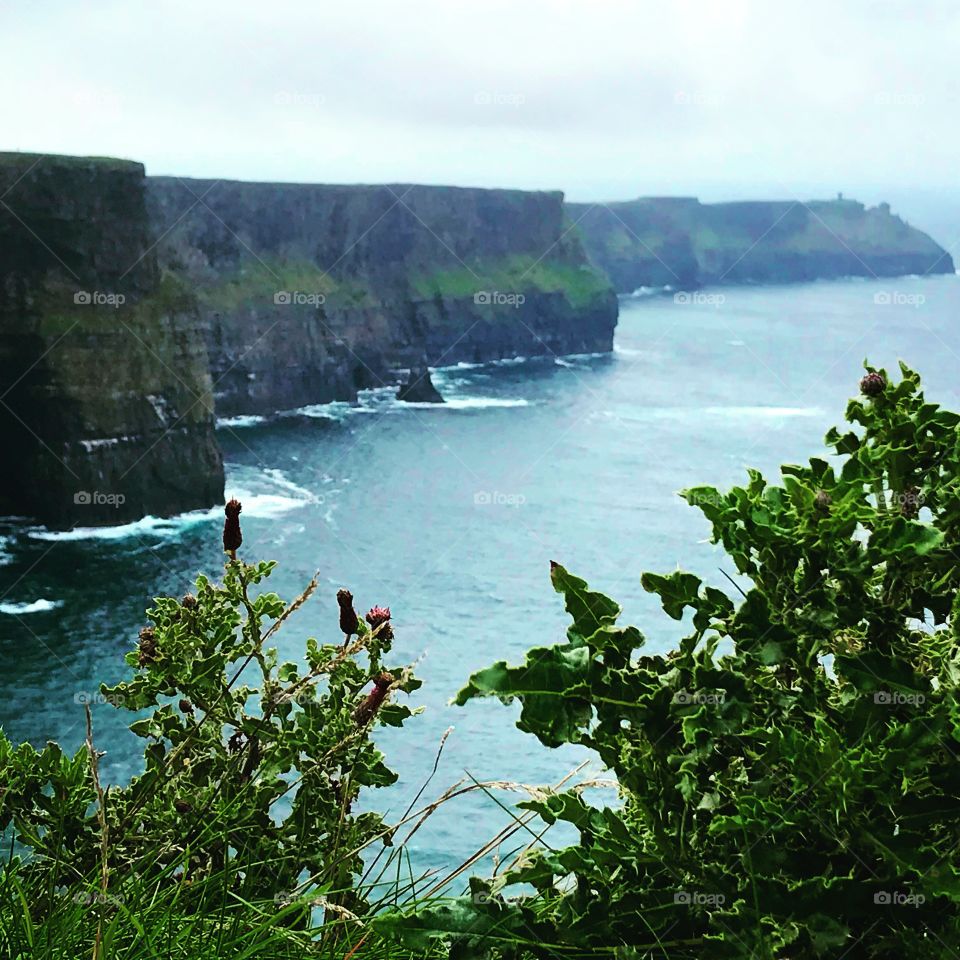 Cliffs of Moher, Ireland 