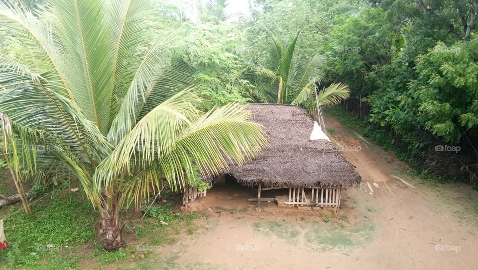 An Hut in Tamil Nadu which is a Shelter for the Mankind