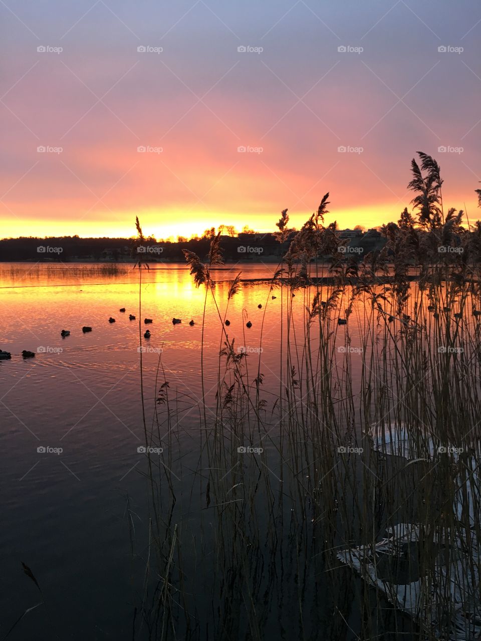 Sunset, Dawn, Water, Reflection, Evening