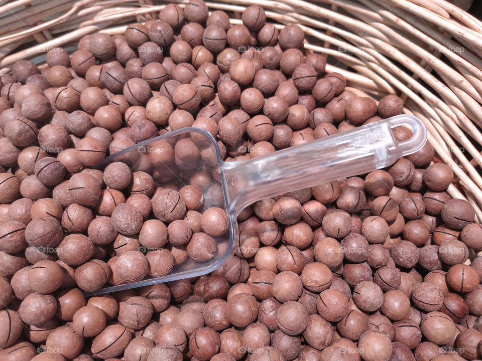 brown macadamia nuts in a basket