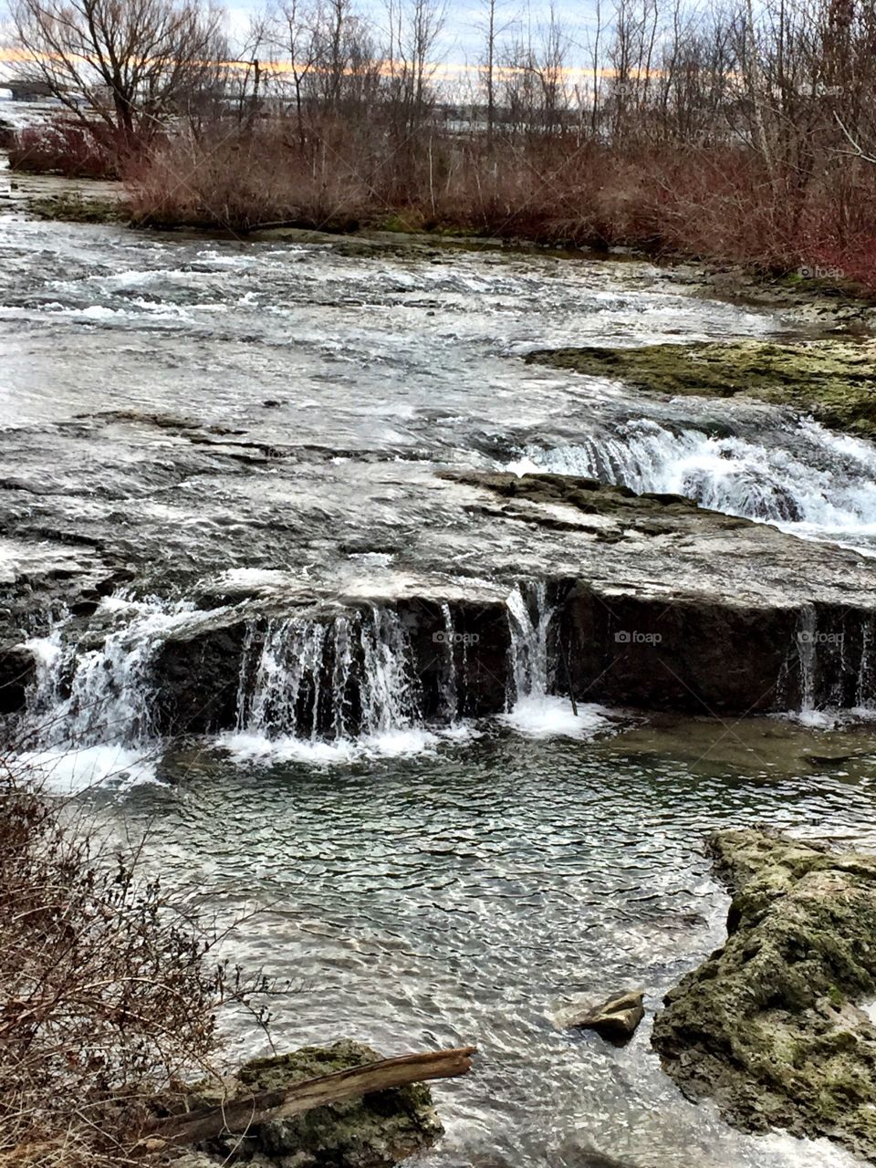 Capturing nature and its beauty 