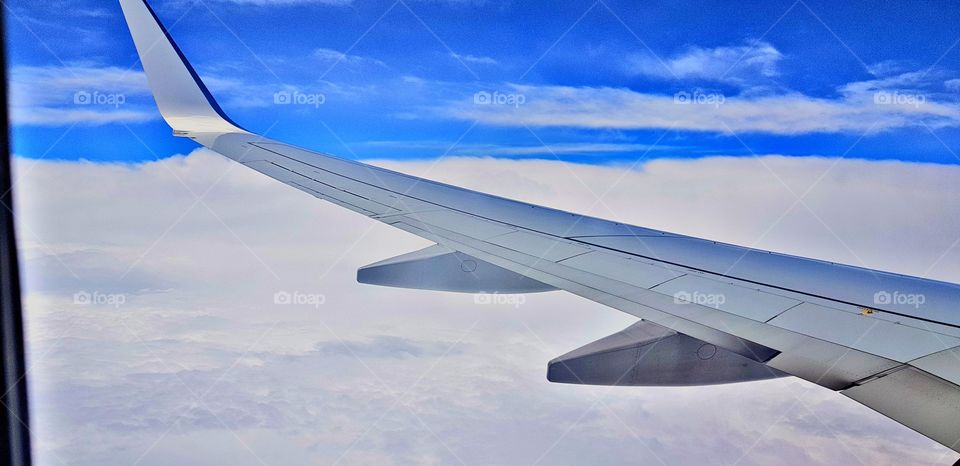 Travel to Sydney Australia