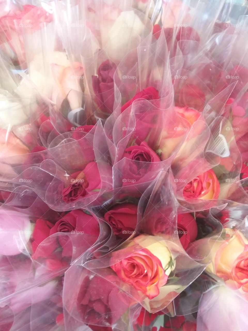 roses for Valentine's
