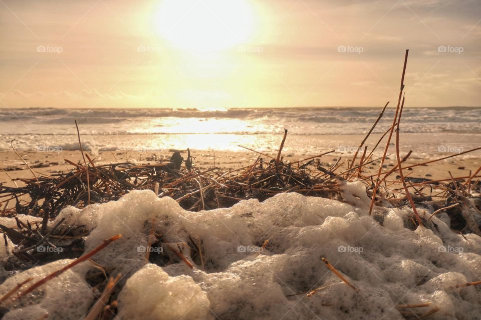 Foam on the beach, with a beautiful sunset