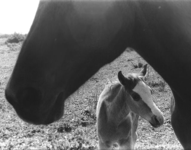 Mother