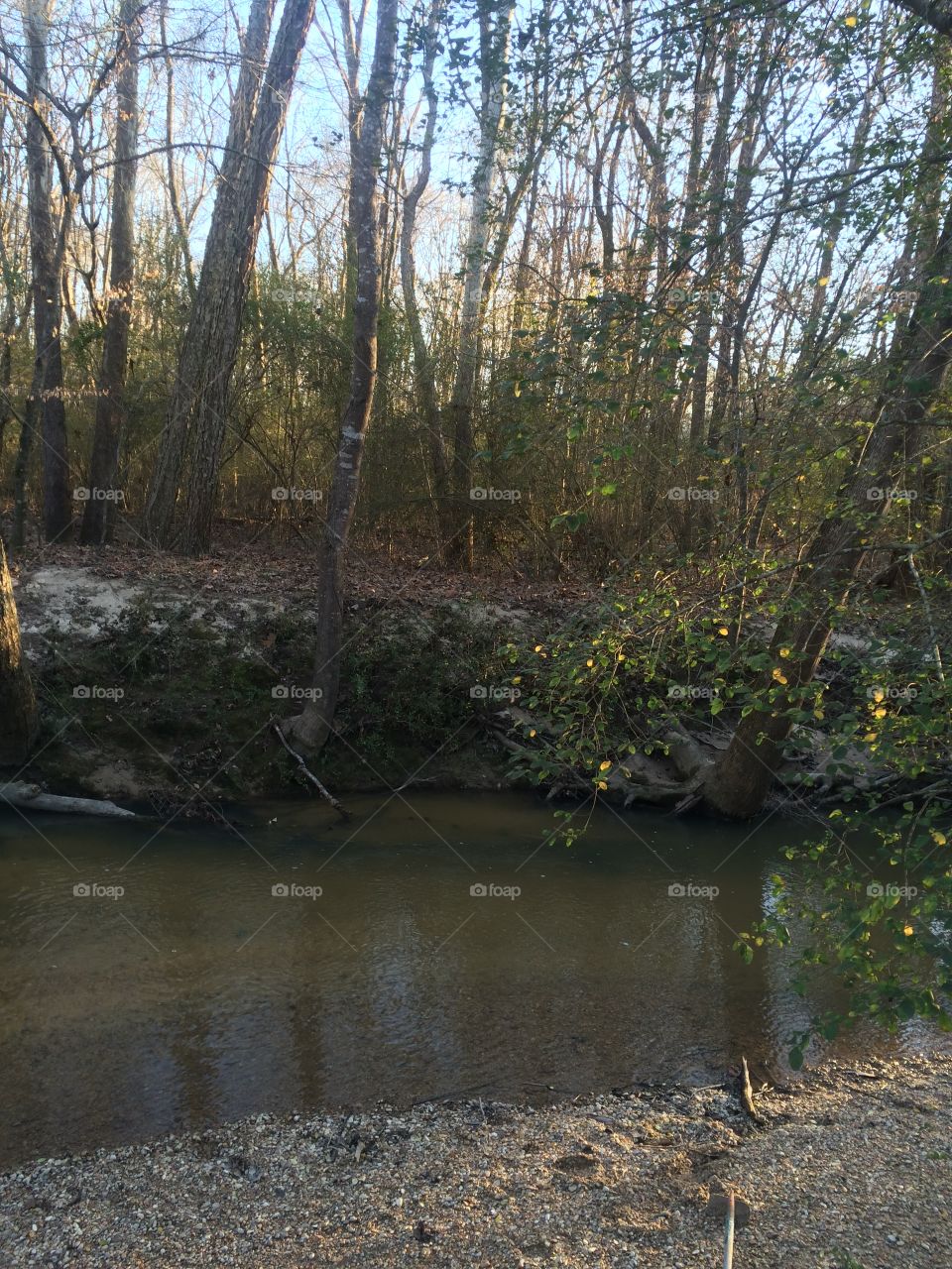 Kool's Calming Creek