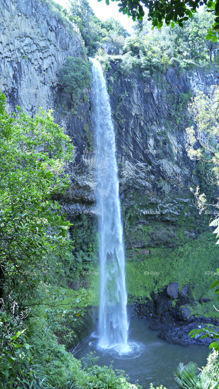 Bridal Veil Falls. Raglan, New Zealand 